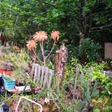 ...anche se l�insieme contribuisce a rendere il giardino un po� boh�mien